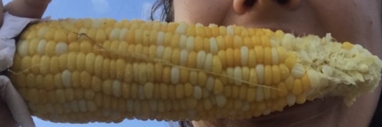 zclaudia97's profile banner image