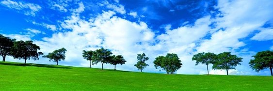HardSelim's profile banner image