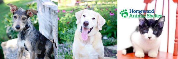 HomewardAS Profile Banner