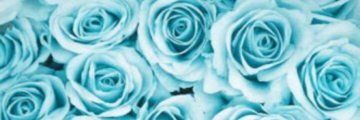 anatitalouca's profile banner image
