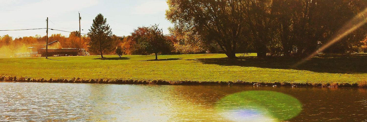 positivesalv's profile banner image