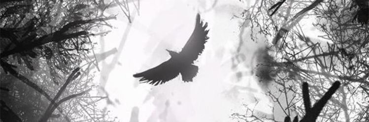 IvNavarro21's profile banner image
