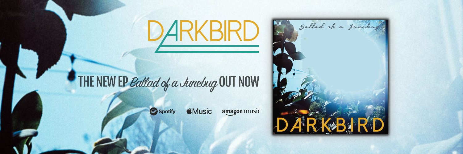 darkbirdband banner