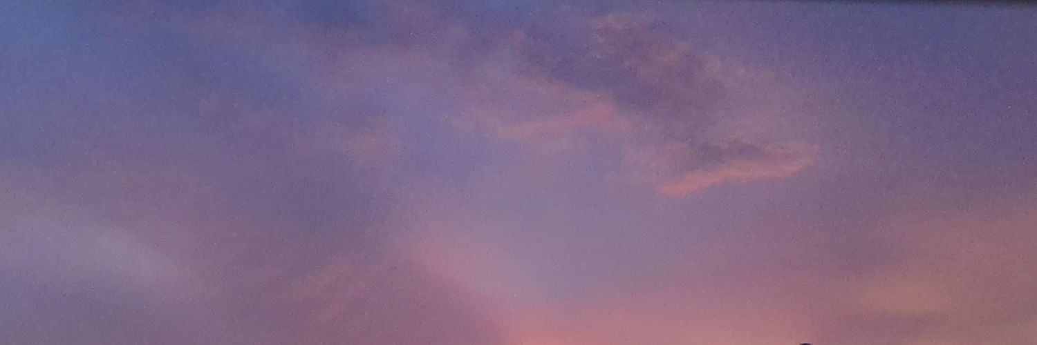 나비 ☆《 ♡ Ars 》 banner