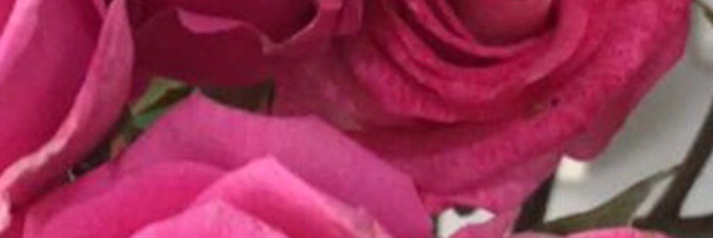 spacl69's profile banner image