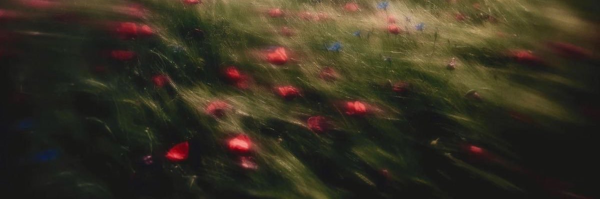 __iilloo's profile banner image