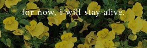 Just Fine 👆 banner