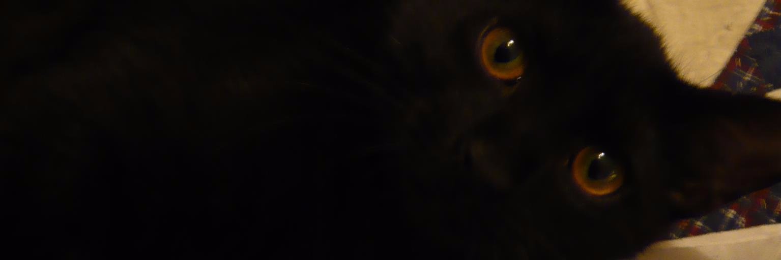 catradiocafe's profile banner image