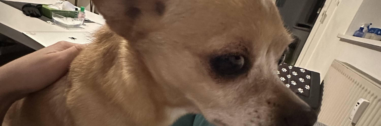 GashiFitore's profile banner image