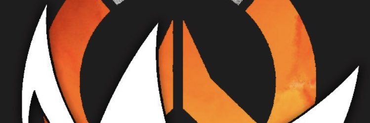 ProtoSHOOT banner