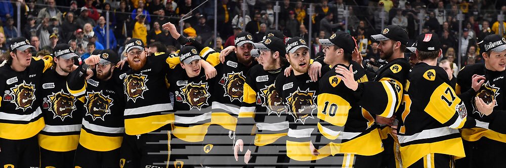 Connor Walters banner