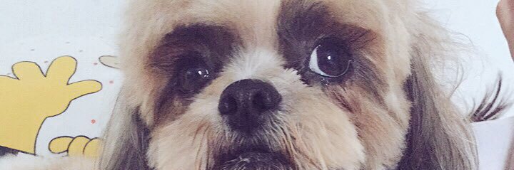 JoyceColocho's profile banner image