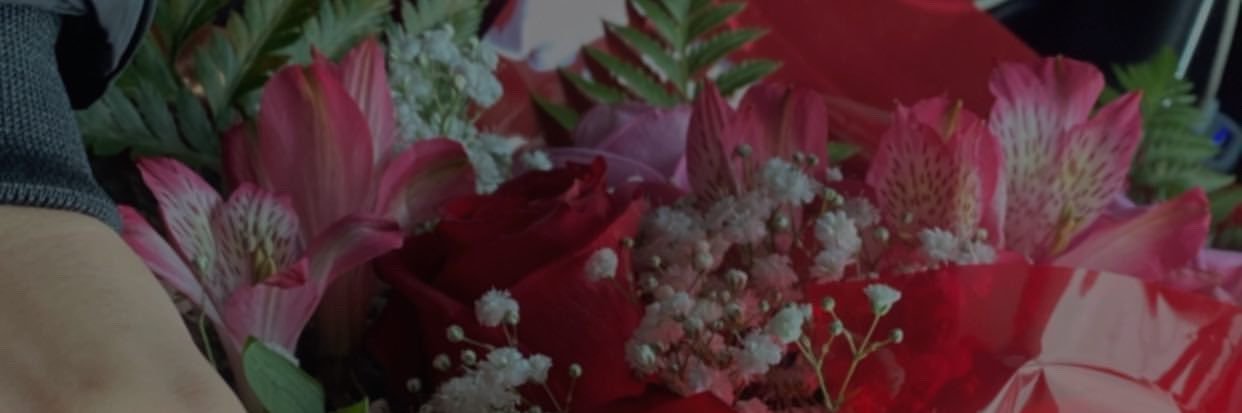 ❁ Elliza lima banner