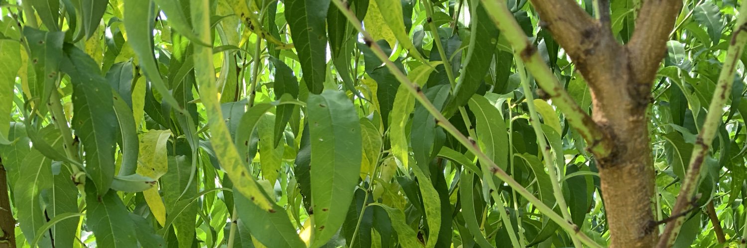 tbux_'s profile banner image