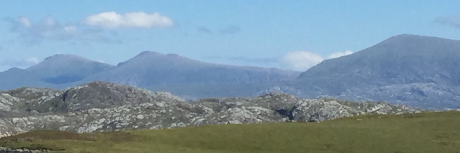 Maimie Thompson banner