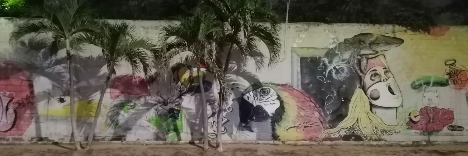 silviamuinha's profile banner image