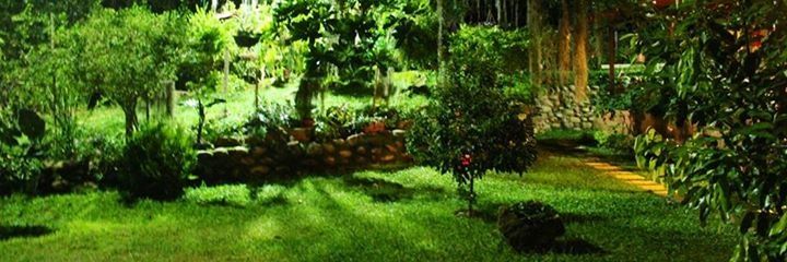 dejavepave's profile banner image