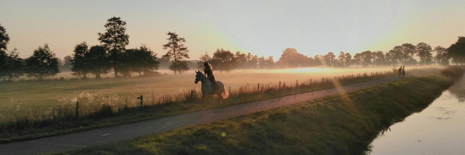 Marijke van Eijden banner