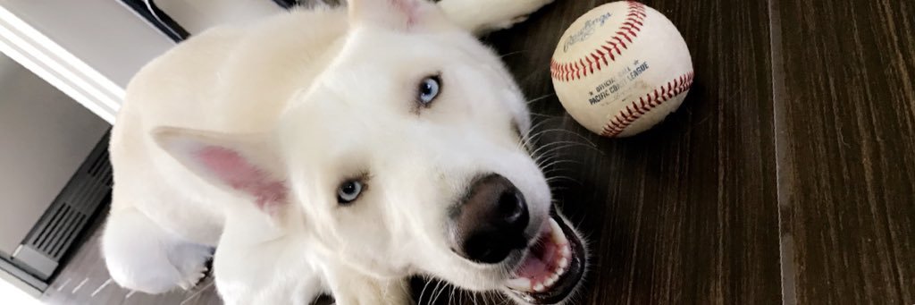 Maddhenry's profile banner image