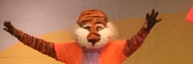 Beverly Humber banner