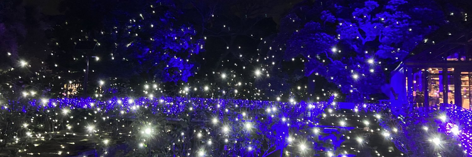 Ling_rains's profile banner image
