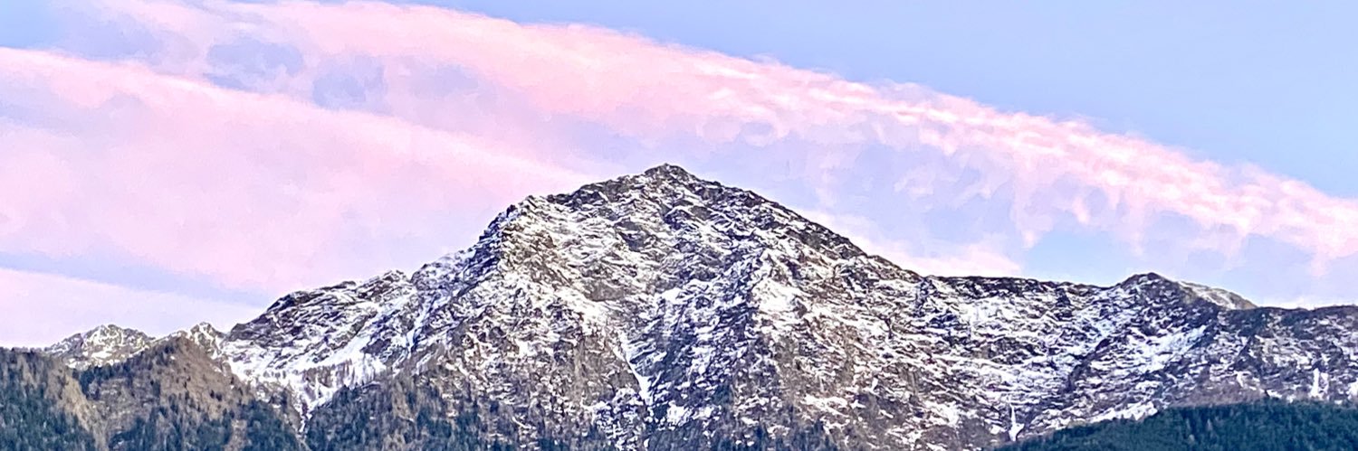 Sergio Foiadelli banner