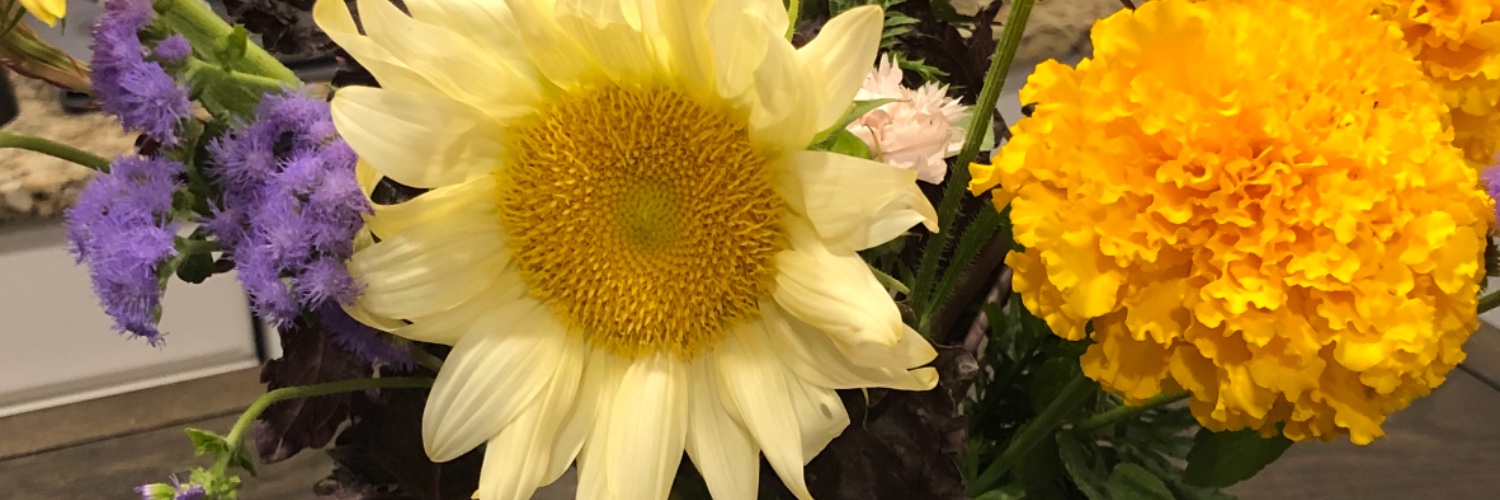 emmatbenj's profile banner image