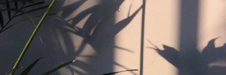 littstore's profile banner image