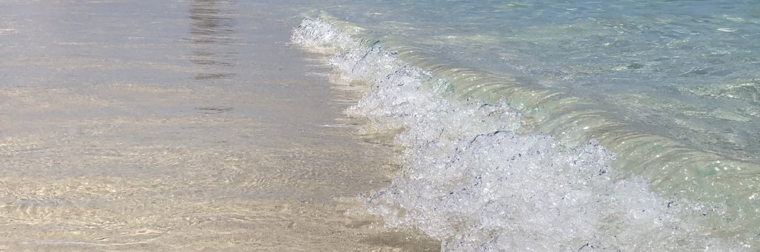 Sheila Wendling banner