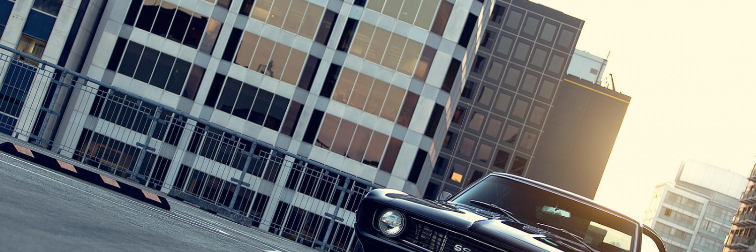 FSonija's profile banner image