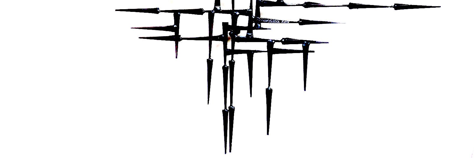 katie rex banner