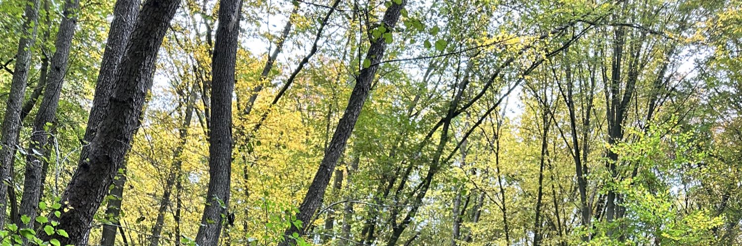 harryxander's profile banner image