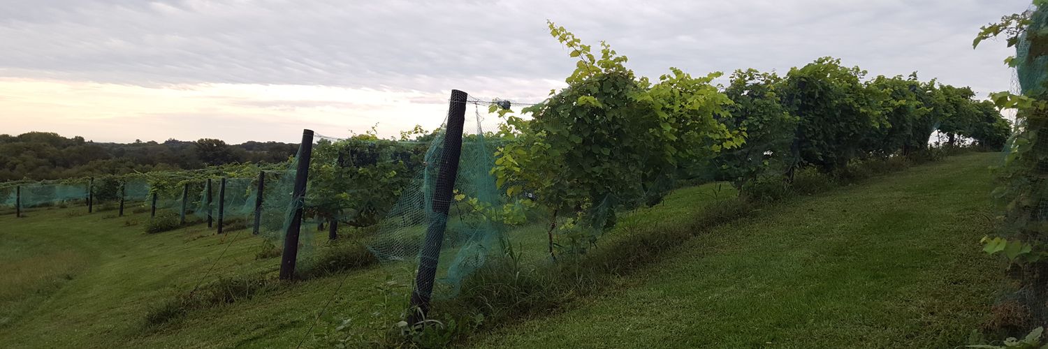LMNicol's profile banner image