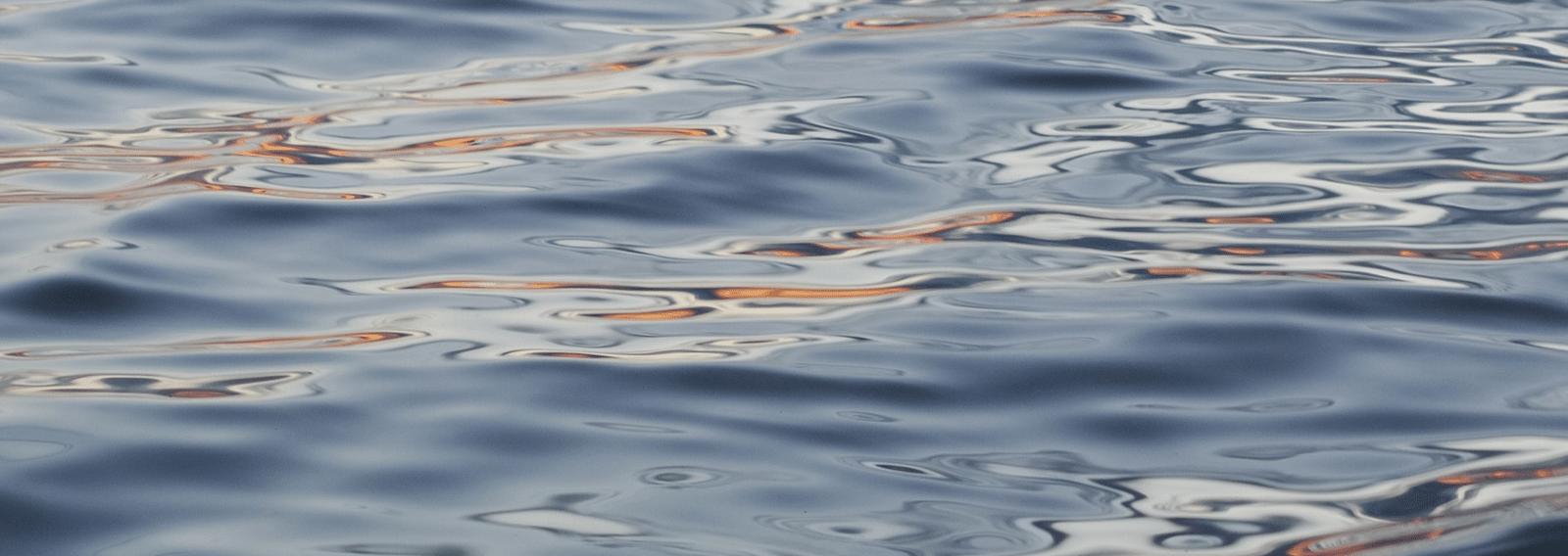 AndiPasutti's profile banner image