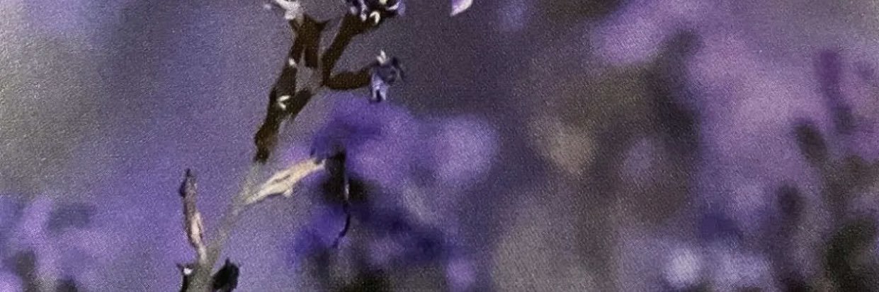 M644's profile banner image