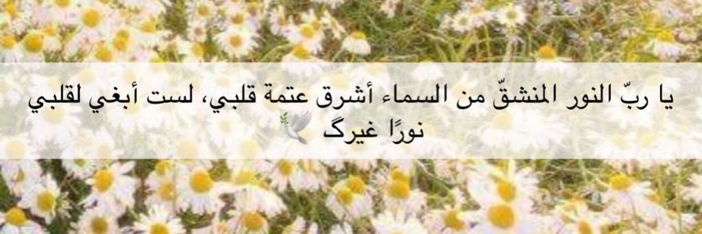 عبدالله خضر banner