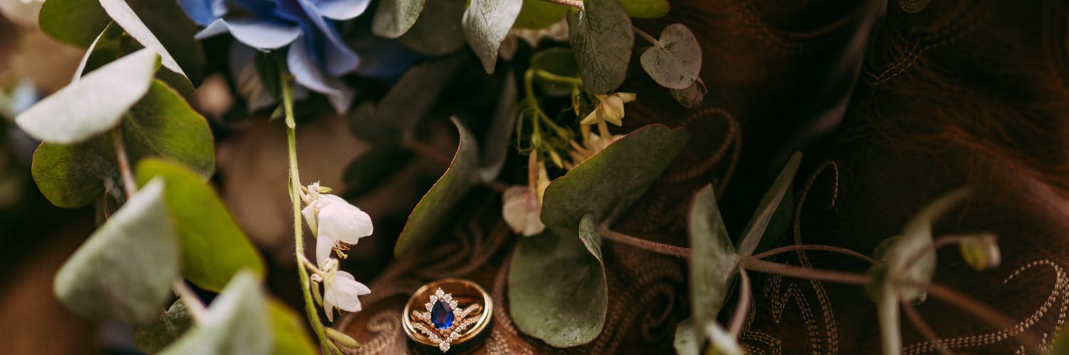 AmyLawrence0530's profile banner image