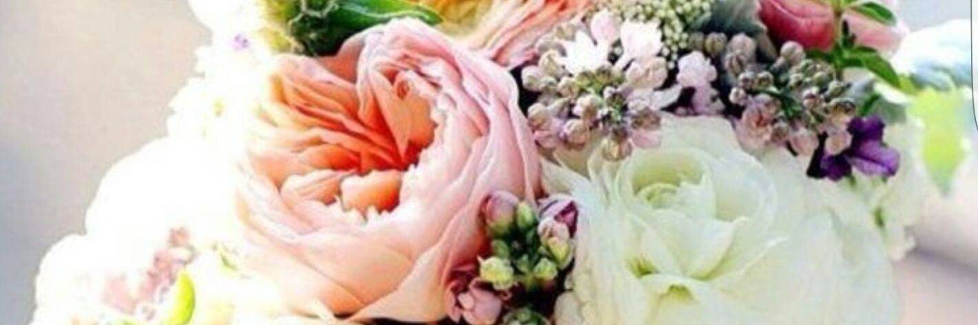 sandybeyer's profile banner image