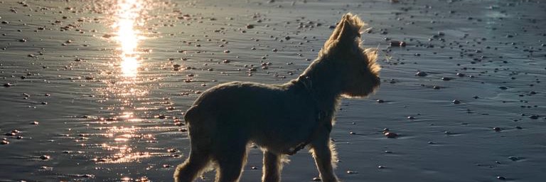 crispf94's profile banner image
