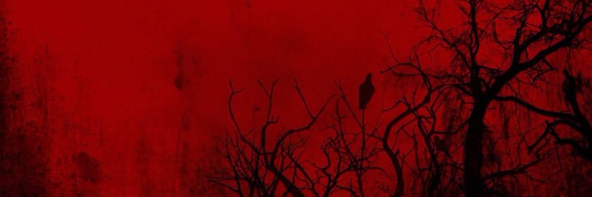 Togarashiix's profile banner image