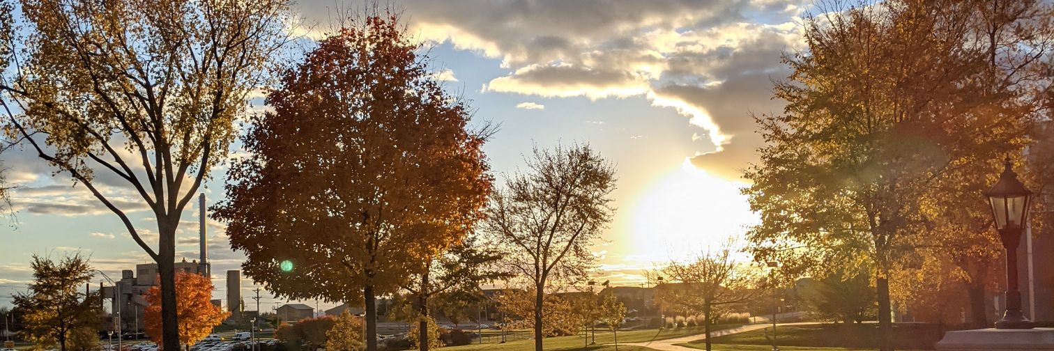notthatelsa's profile banner image