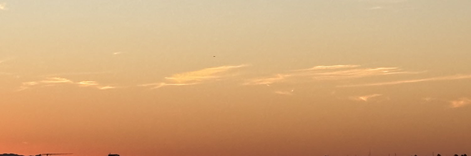 _lbmb's profile banner image