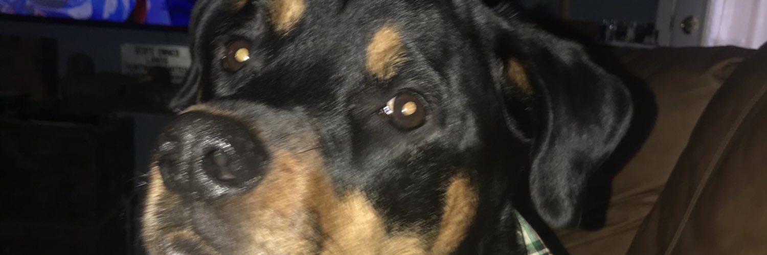 bevmalke1's profile banner image