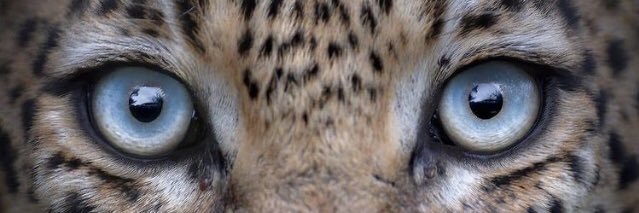 DarwinWayneDar's profile banner image