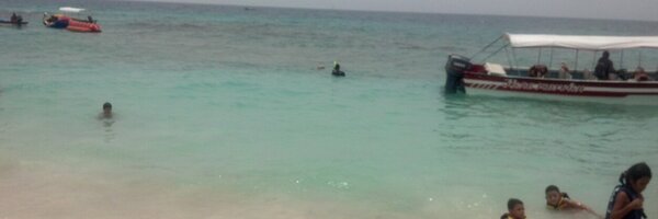 royalin11 Profile Banner