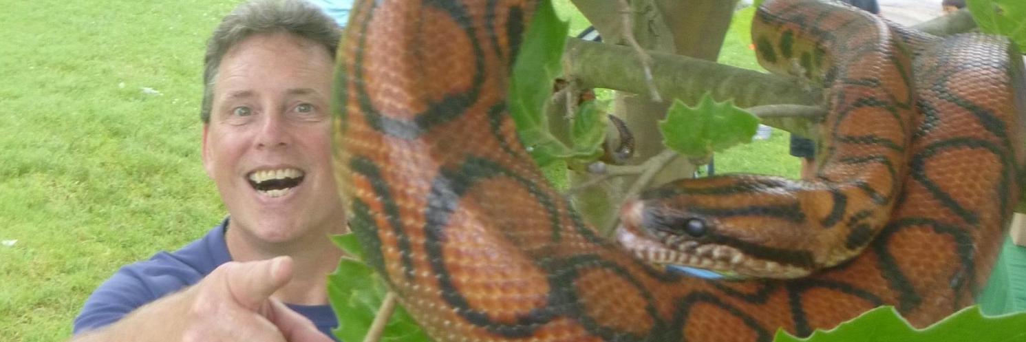 Robert Habegger banner