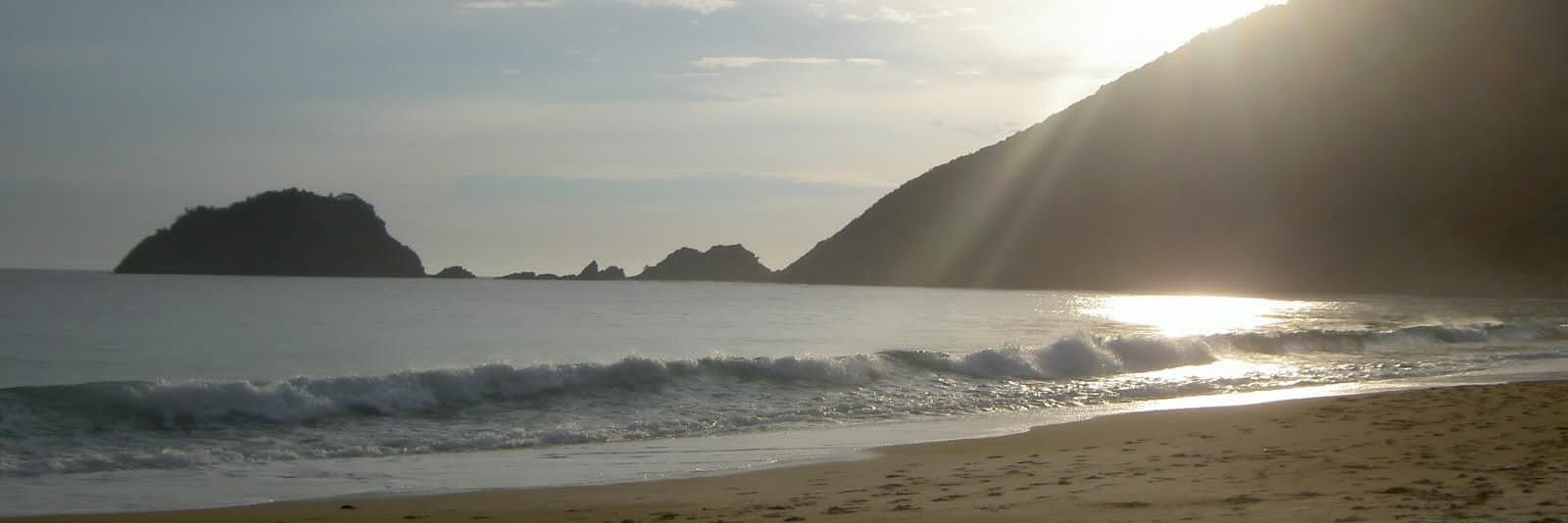 Ronald Parabavizk banner