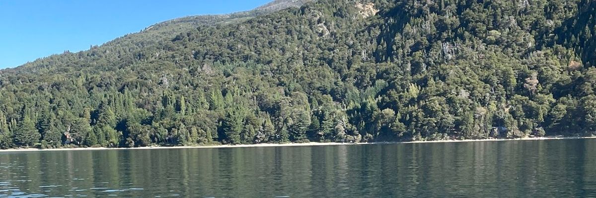 juuliDiPierro's profile banner image