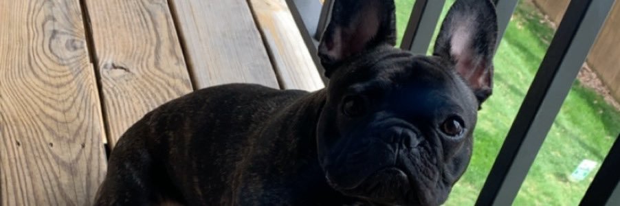 NickSegelbacher's profile banner image