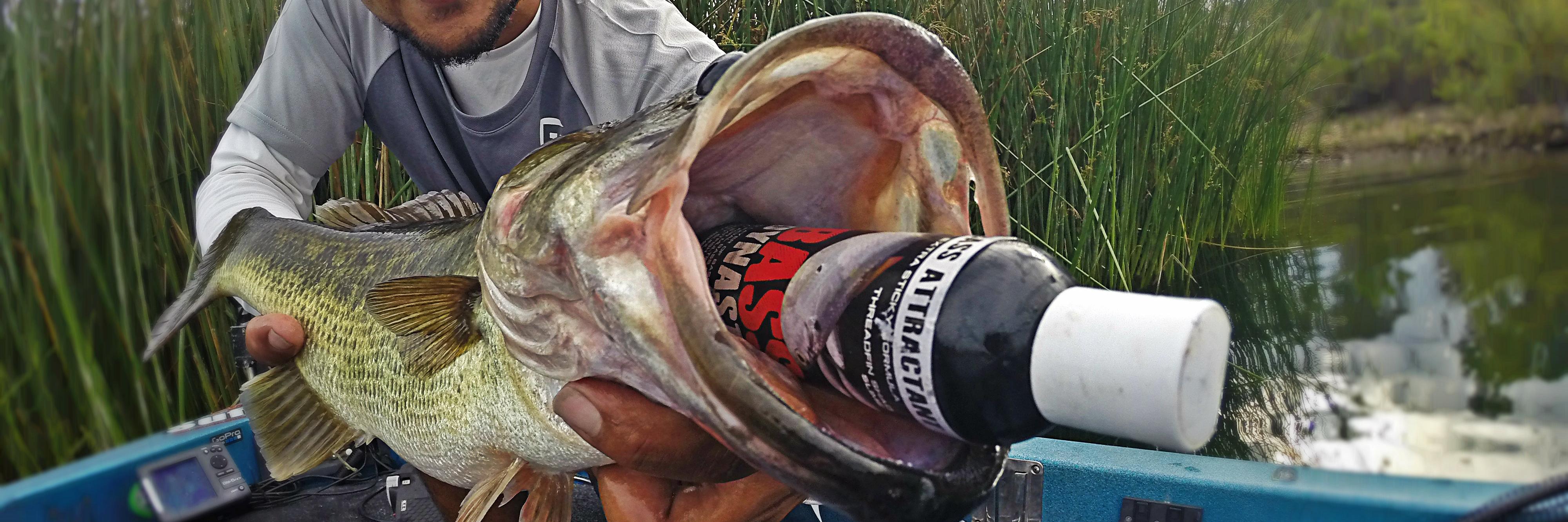 Bass_Dynasty's profile banner image